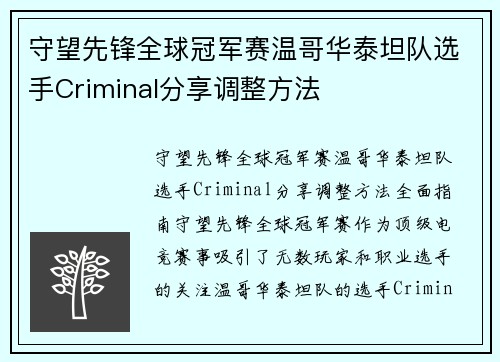 守望先锋全球冠军赛温哥华泰坦队选手Criminal分享调整方法