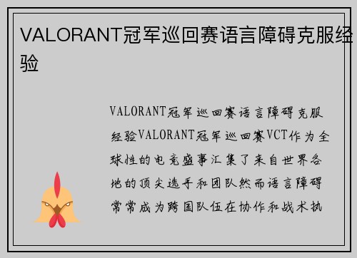 VALORANT冠军巡回赛语言障碍克服经验