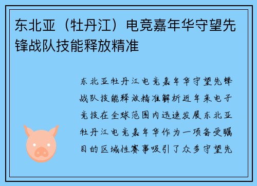 东北亚（牡丹江）电竞嘉年华守望先锋战队技能释放精准